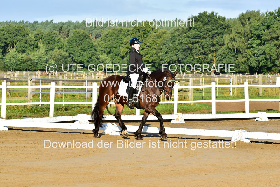 060920-Dressur-WB-KL-E_009.jpg