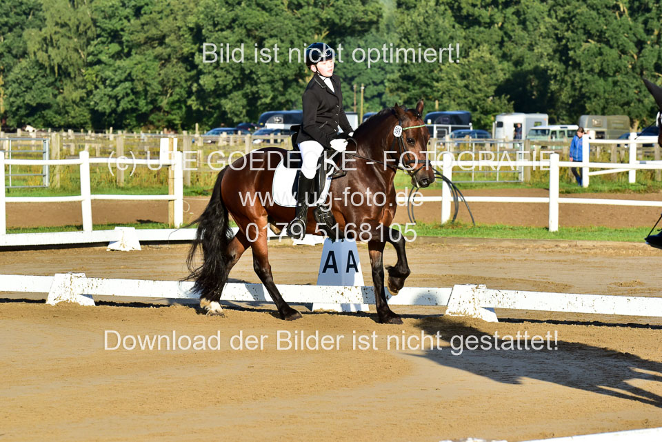 060920-Dressur-WB-KL-E_012.jpg