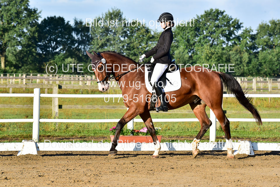 060920-Dressur-WB-KL-E_017.jpg
