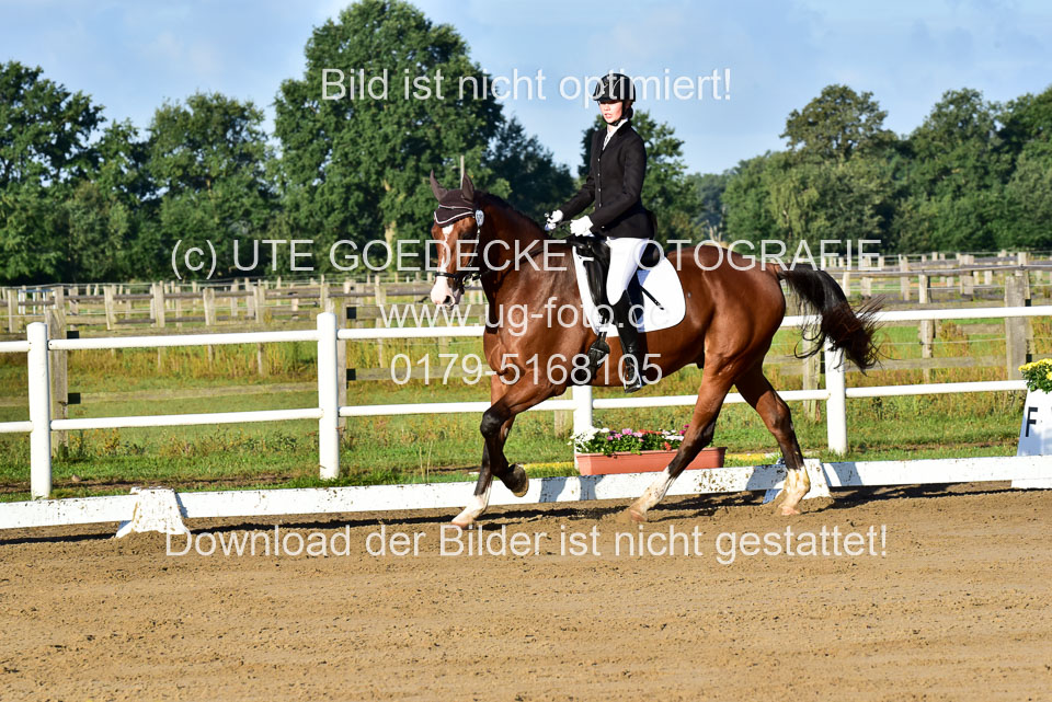 060920-Dressur-WB-KL-E_031.jpg