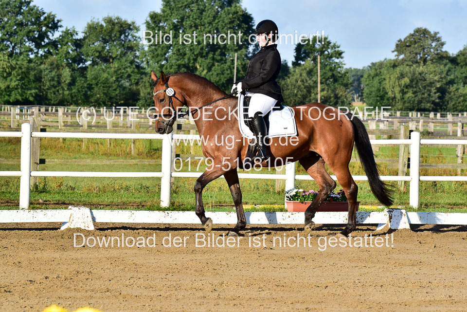 060920-Dressur-WB-KL-E_038.jpg