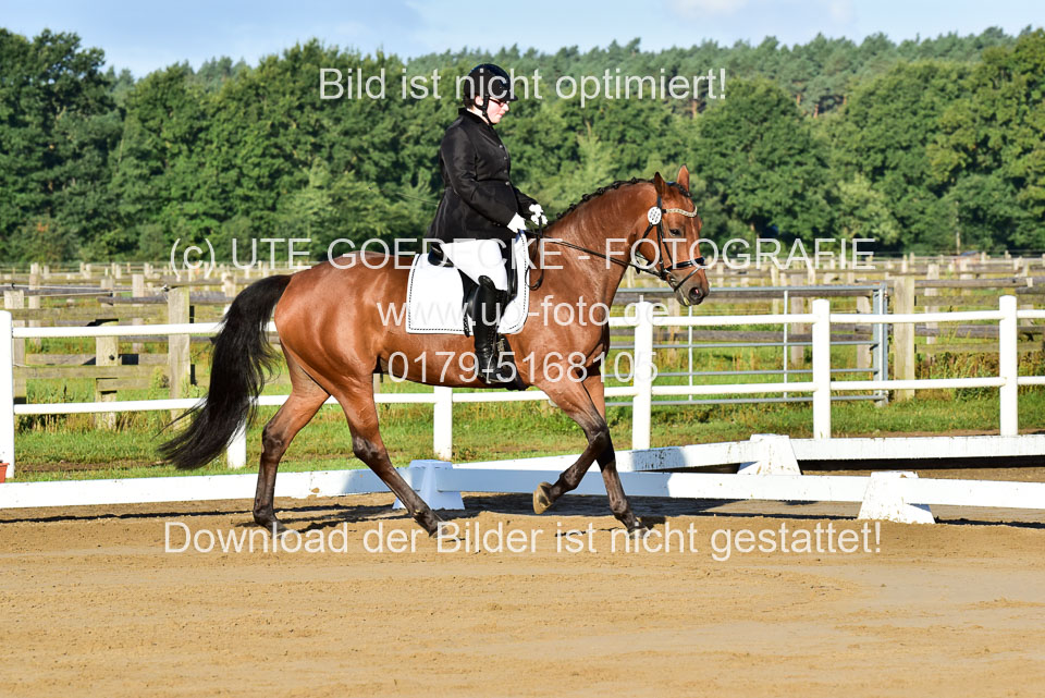 060920-Dressur-WB-KL-E_041.jpg