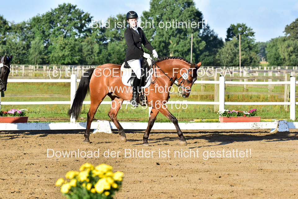 060920-Dressur-WB-KL-E_053.jpg