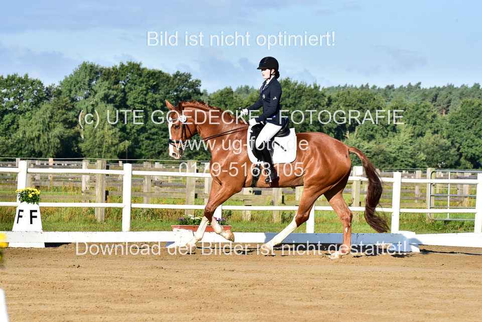 060920-Dressur-WB-KL-E_073.jpg