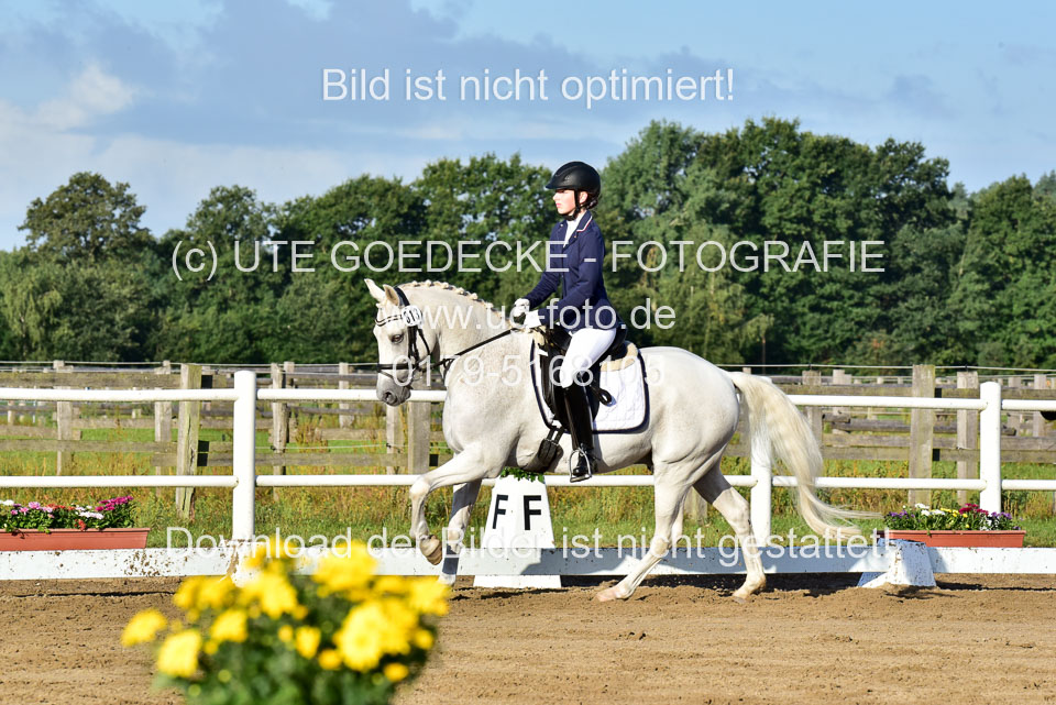 060920-Dressur-WB-KL-E_104.jpg