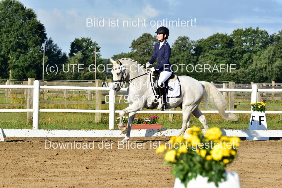 060920-Dressur-WB-KL-E_105.jpg