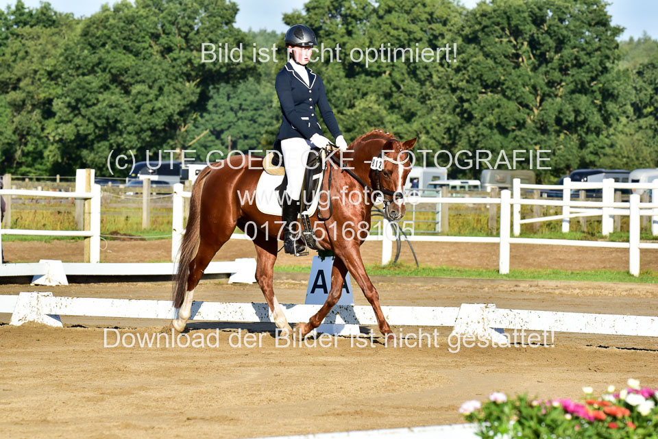 060920-Dressur-WB-KL-E_113.jpg
