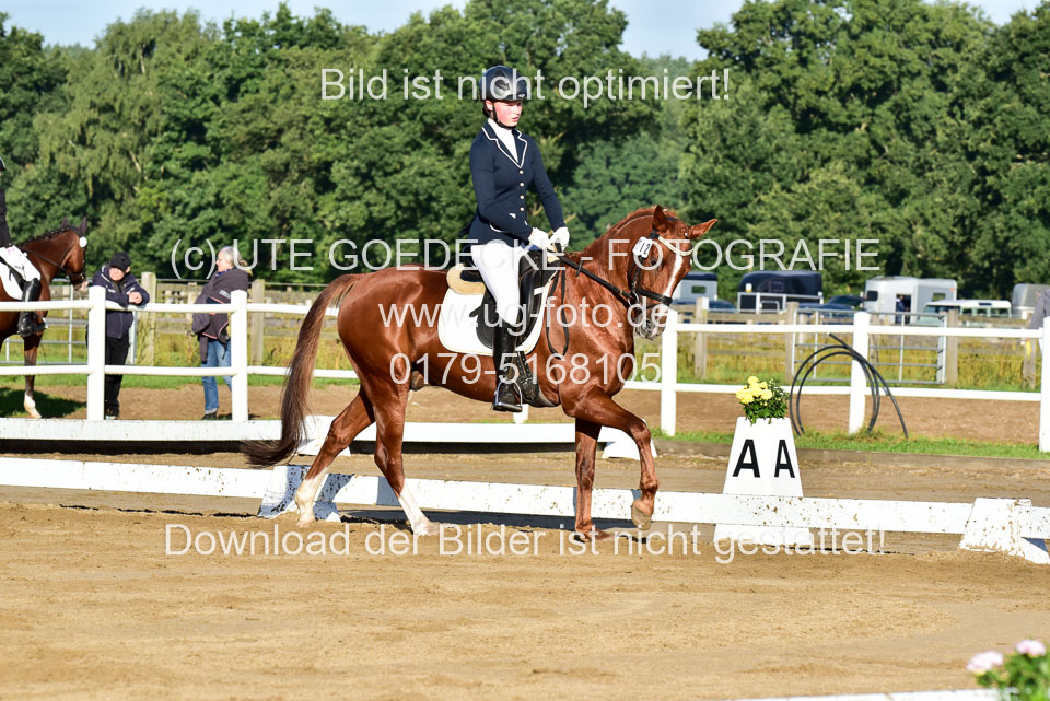 060920-Dressur-WB-KL-E_116.jpg