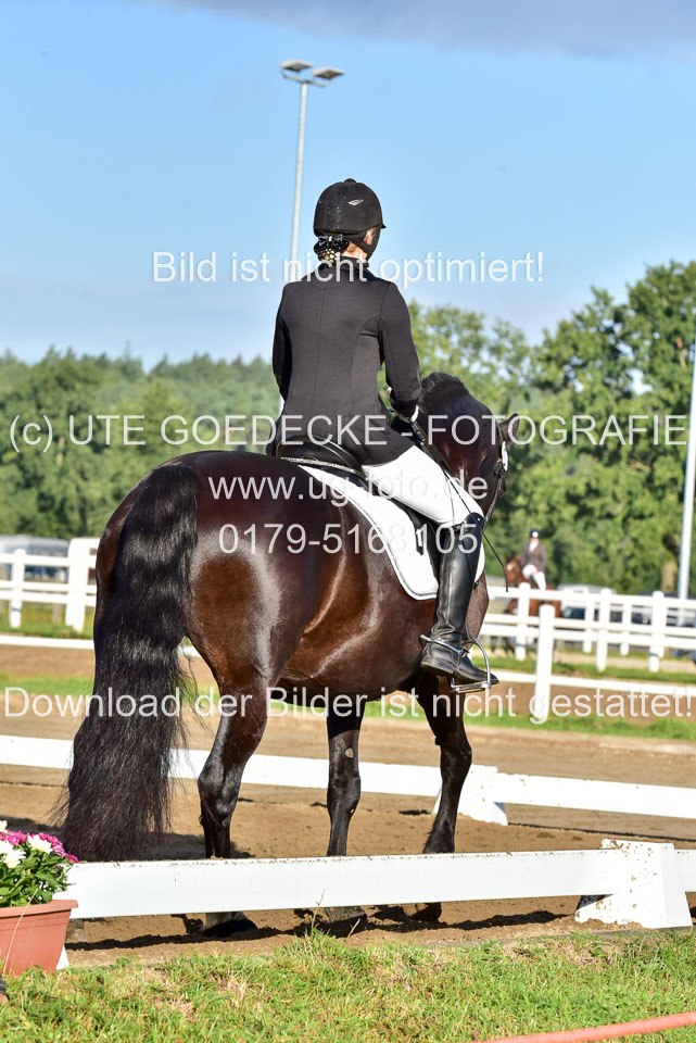060920-Dressur-WB-KL-E_122.jpg