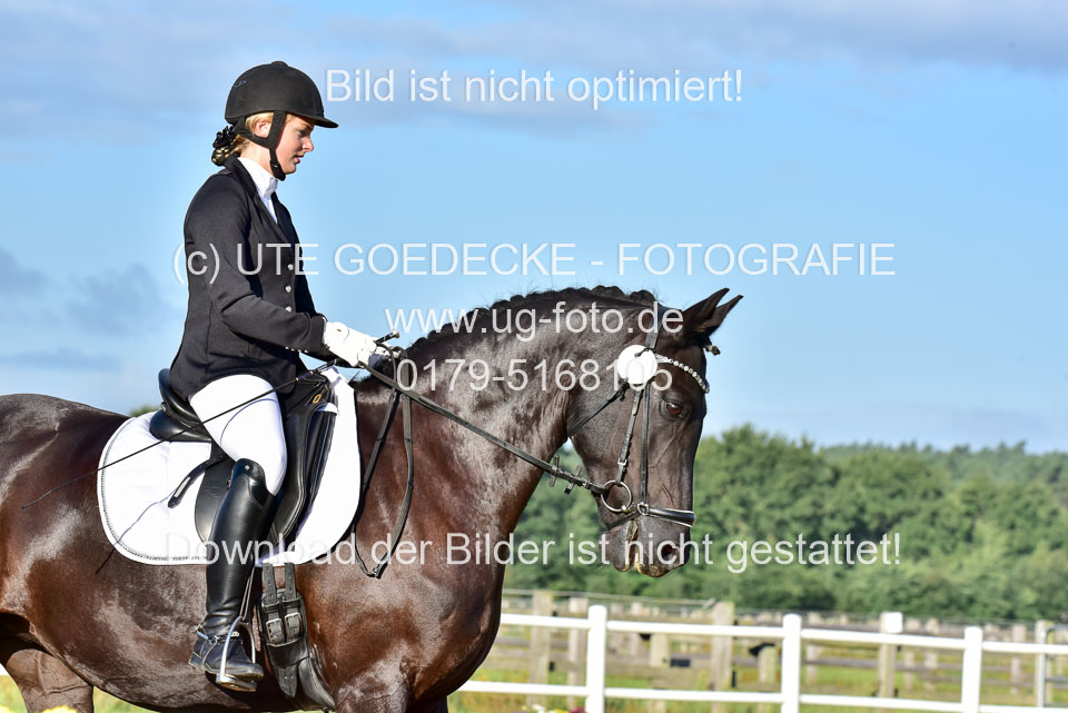 060920-Dressur-WB-KL-E_123.jpg