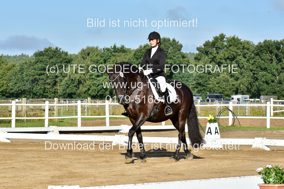 060920-Dressur-WB-KL-E_124.jpg
