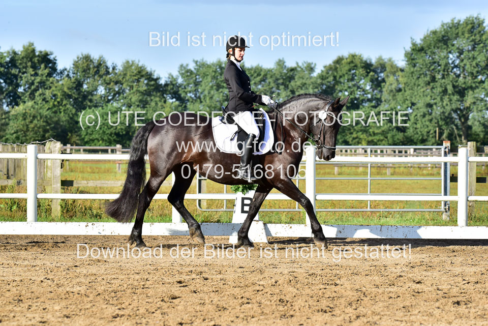 060920-Dressur-WB-KL-E_129.jpg