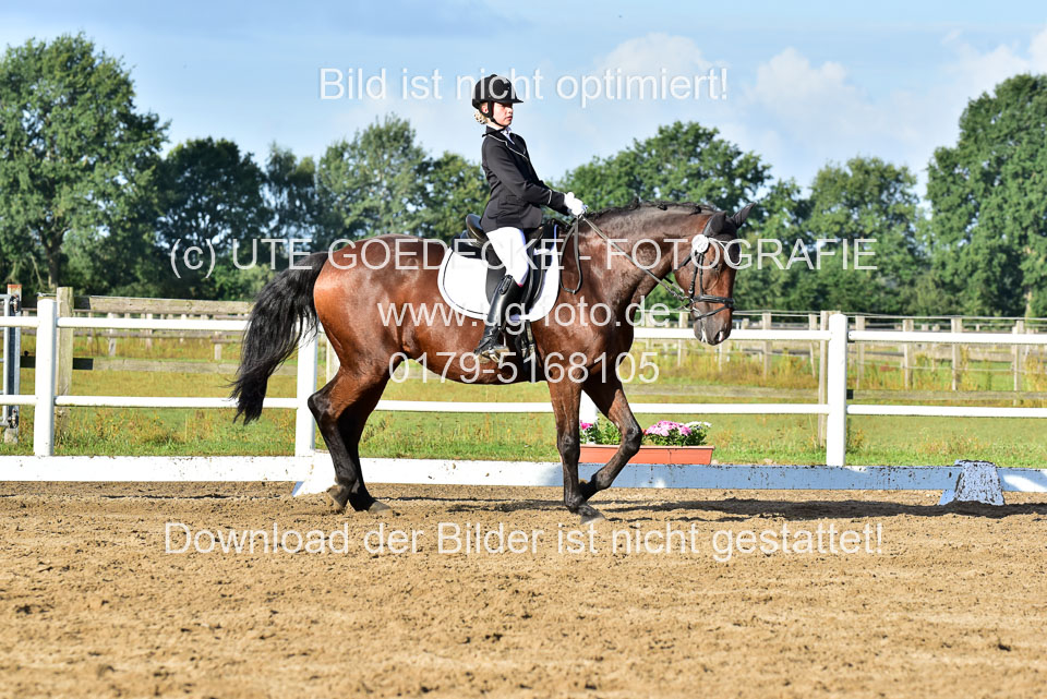 060920-Dressur-WB-KL-E_131.jpg