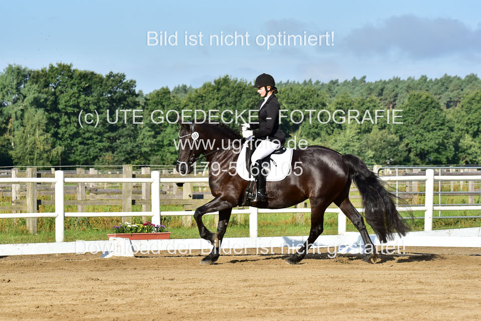 060920-Dressur-WB-KL-E_133.jpg