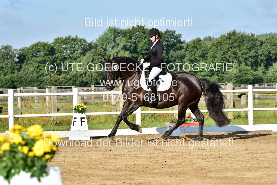060920-Dressur-WB-KL-E_134.jpg