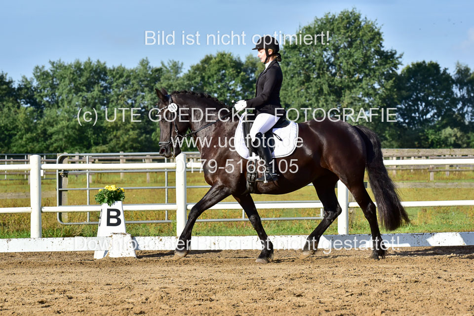 060920-Dressur-WB-KL-E_136.jpg