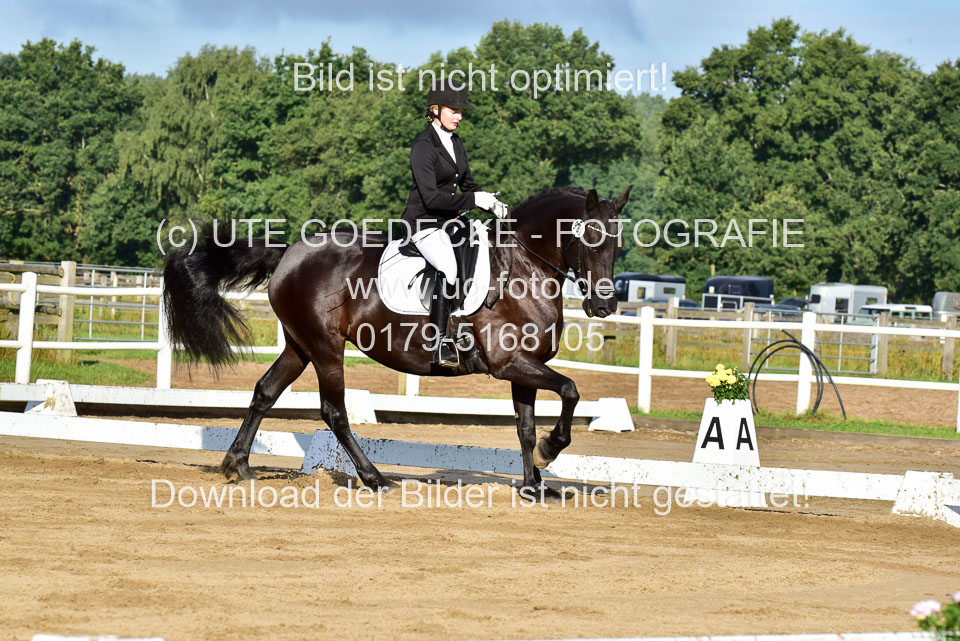 060920-Dressur-WB-KL-E_141.jpg
