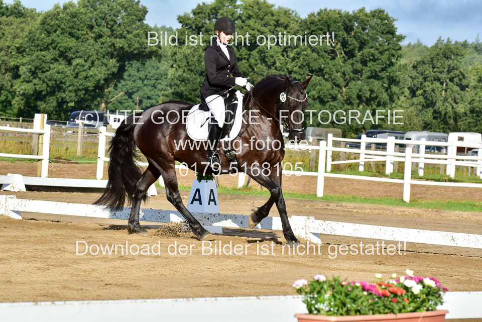 060920-Dressur-WB-KL-E_142.jpg