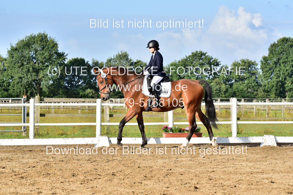 060920-Dressur-WB-KL-E_147.jpg