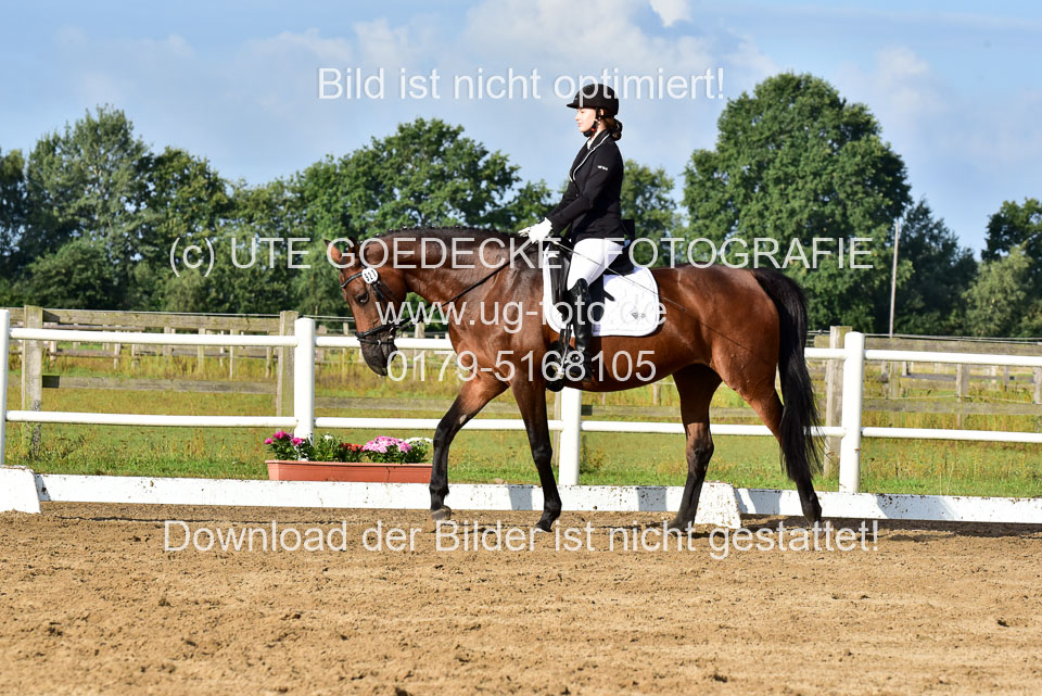 060920-Dressur-WB-KL-E_149.jpg