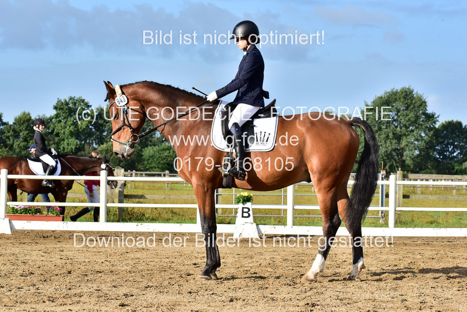 060920-Dressur-WB-KL-E_150.jpg