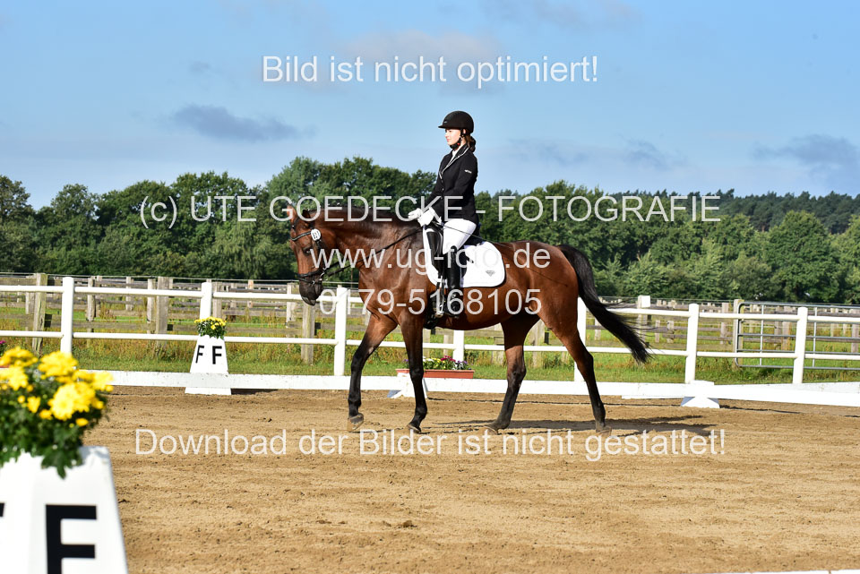 060920-Dressur-WB-KL-E_152.jpg