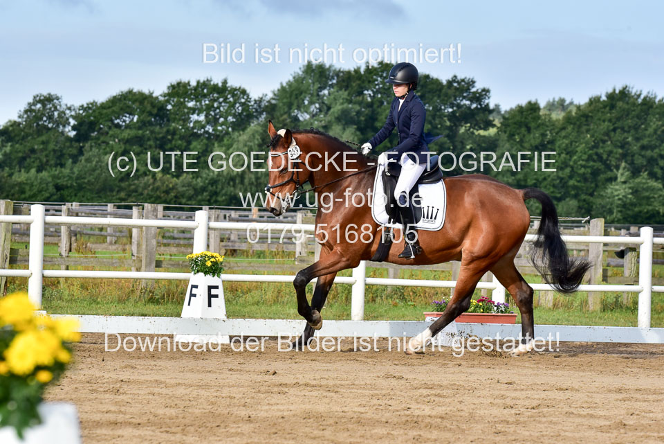 060920-Dressur-WB-KL-E_155.jpg