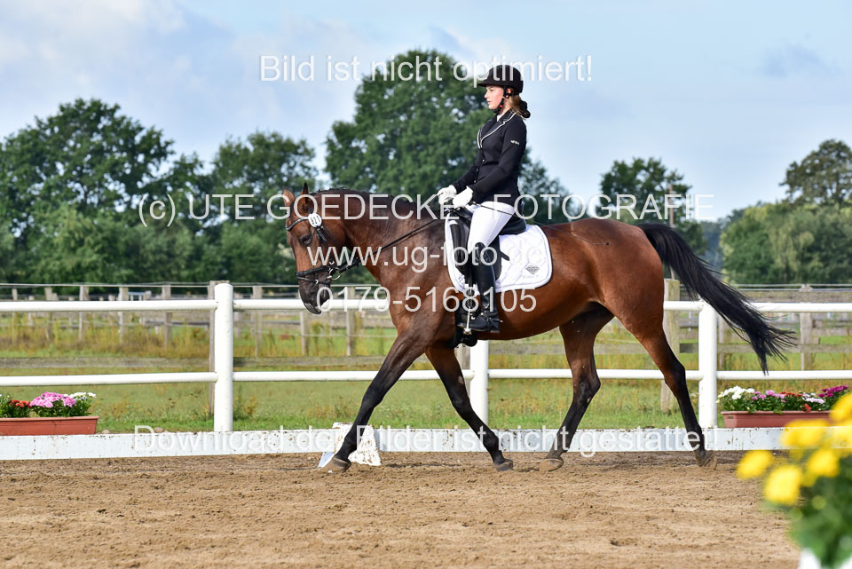 060920-Dressur-WB-KL-E_156.jpg