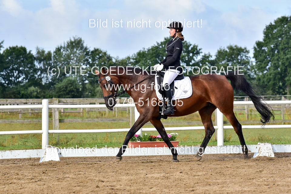 060920-Dressur-WB-KL-E_157.jpg