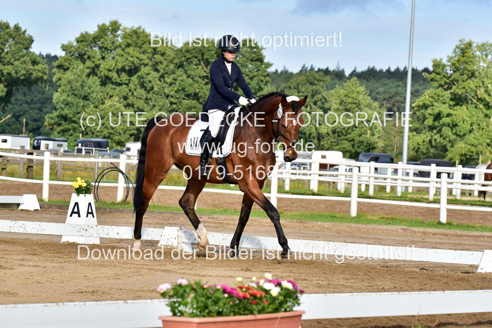 060920-Dressur-WB-KL-E_158.jpg