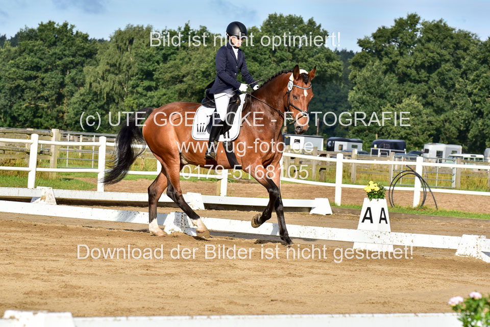060920-Dressur-WB-KL-E_161.jpg