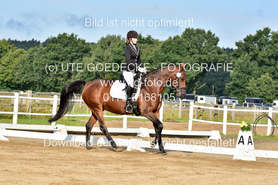 060920-Dressur-WB-KL-E_162.jpg