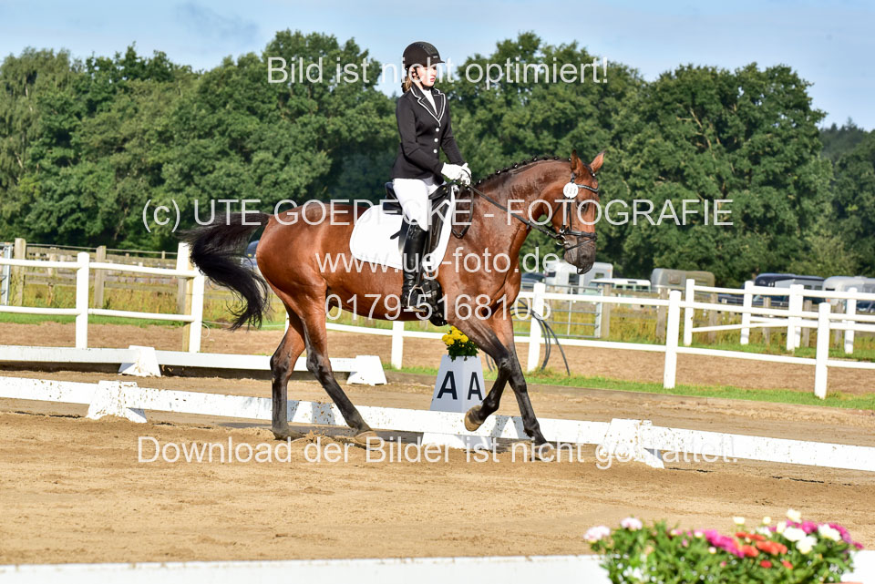 060920-Dressur-WB-KL-E_163.jpg