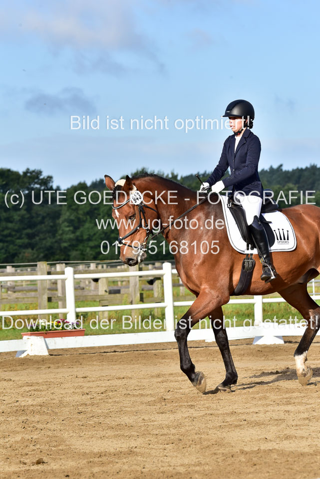 060920-Dressur-WB-KL-E_164.jpg