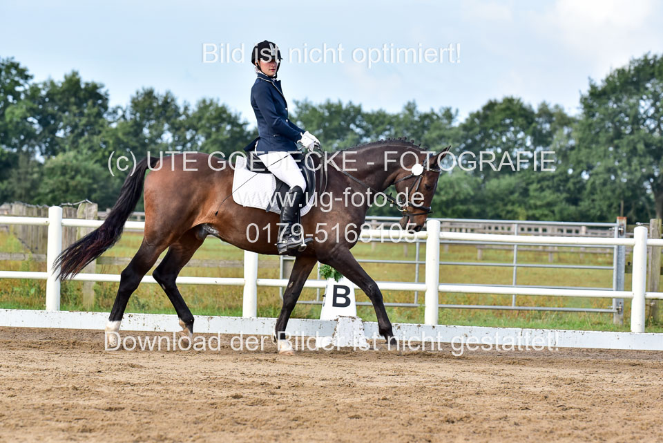 060920-Dressur-WB-KL-E_167.jpg