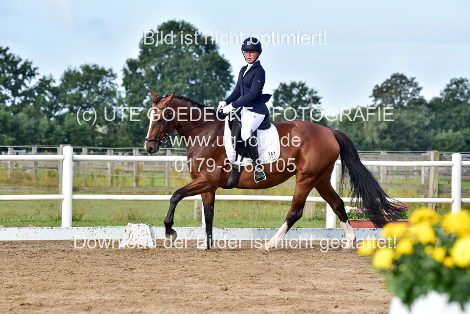 060920-Dressur-WB-KL-E_171.jpg