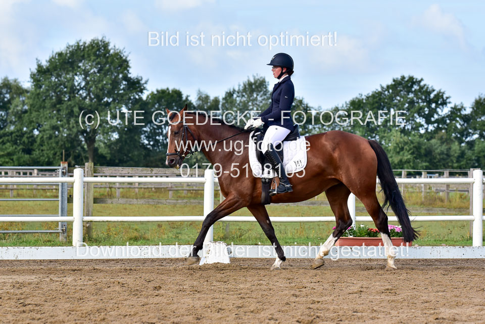 060920-Dressur-WB-KL-E_174.jpg