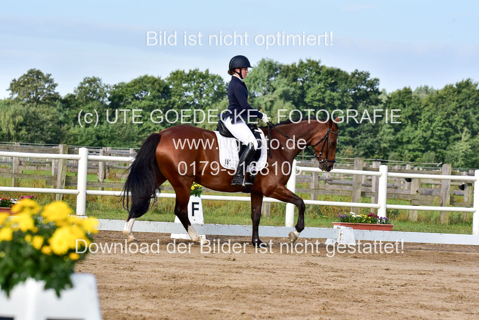 060920-Dressur-WB-KL-E_176.jpg
