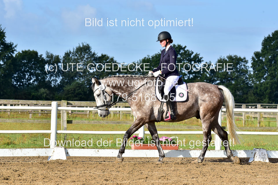 060920-Dressur-WB-KL-E_180.jpg
