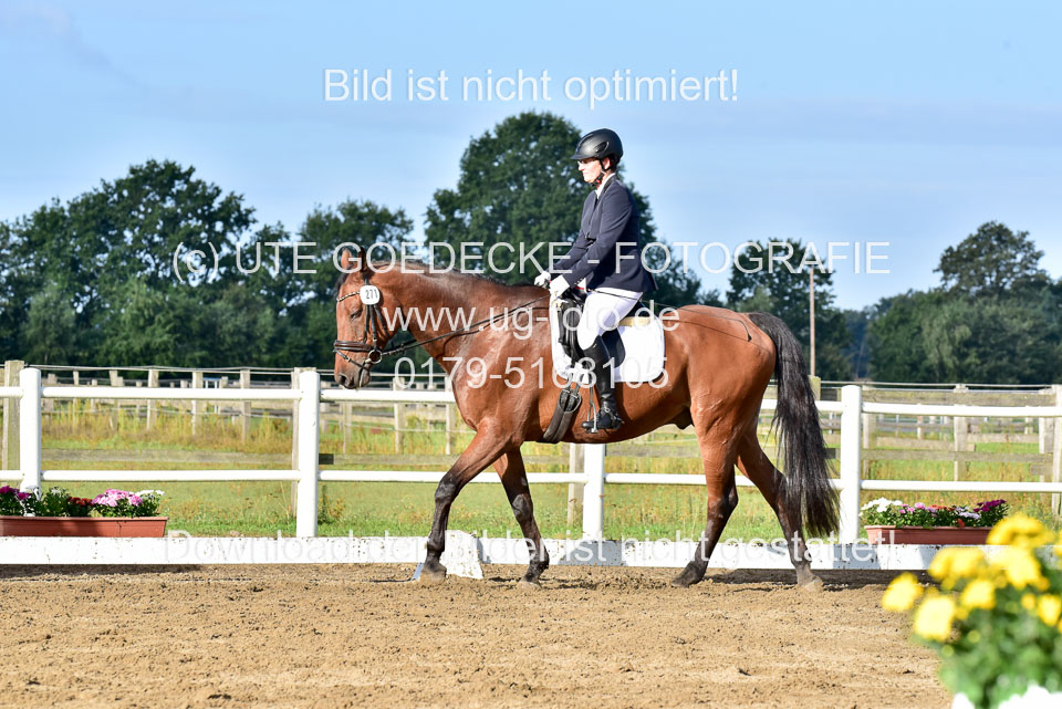060920-Dressur-WB-KL-E_181.jpg