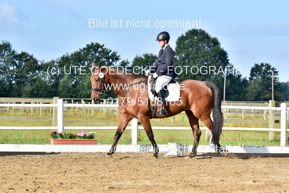 060920-Dressur-WB-KL-E_182.jpg
