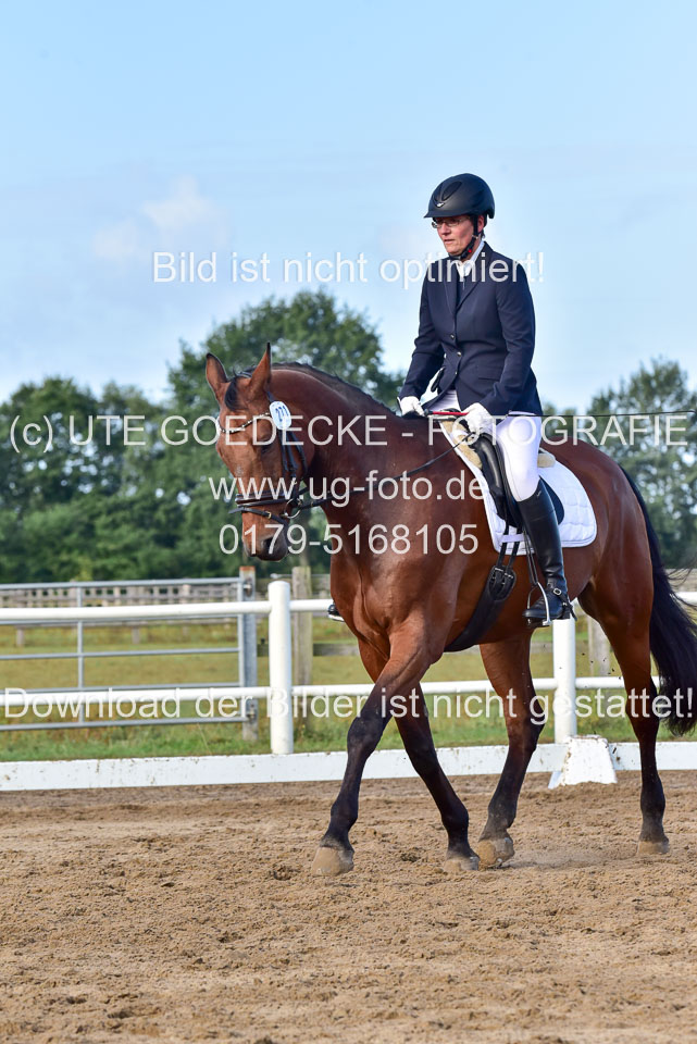 060920-Dressur-WB-KL-E_184.jpg