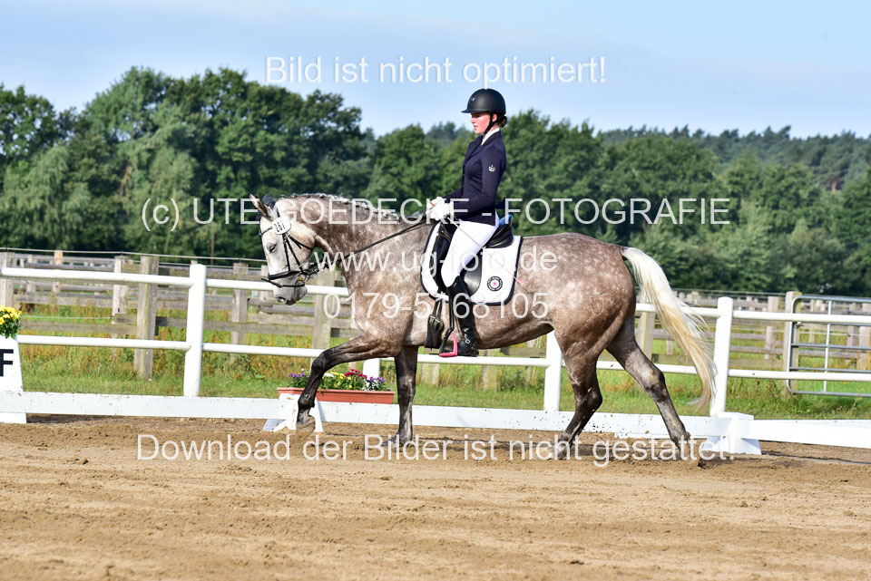 060920-Dressur-WB-KL-E_187.jpg