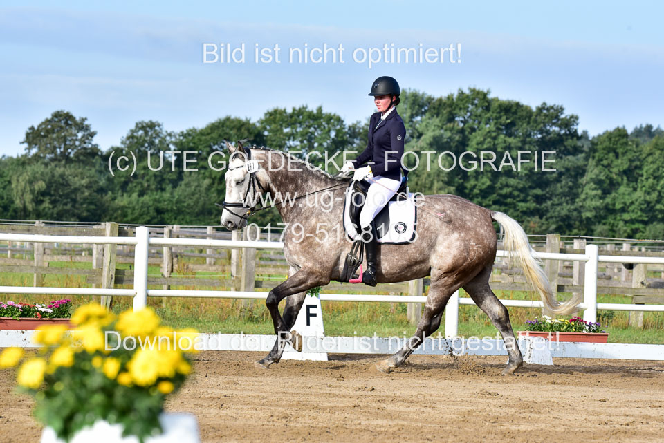 060920-Dressur-WB-KL-E_188.jpg