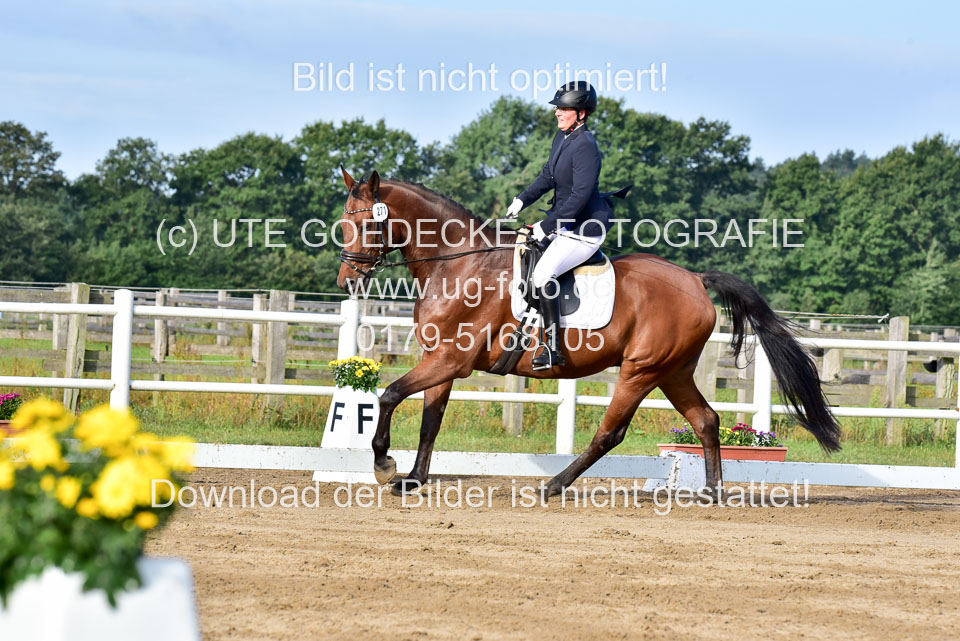 060920-Dressur-WB-KL-E_190.jpg