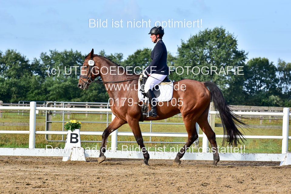 060920-Dressur-WB-KL-E_195.jpg