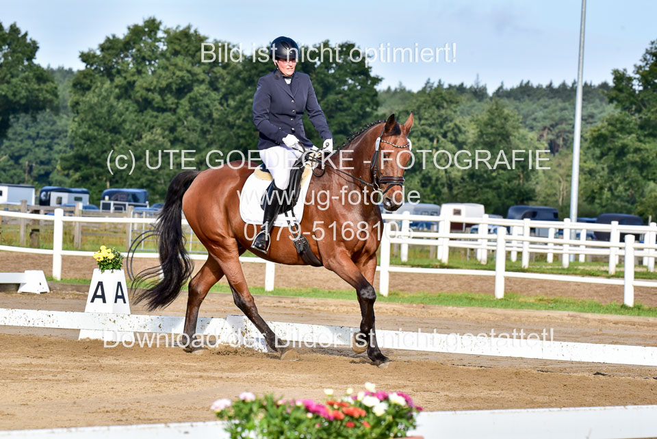 060920-Dressur-WB-KL-E_196.jpg