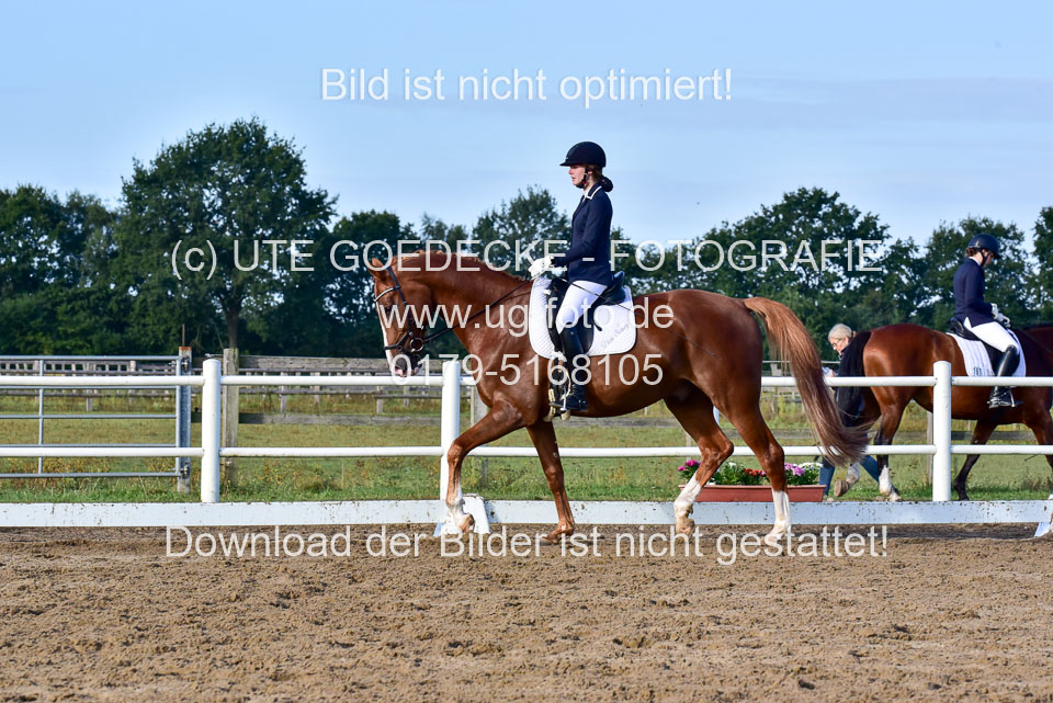 060920-Dressur-WB-KL-E_197.jpg