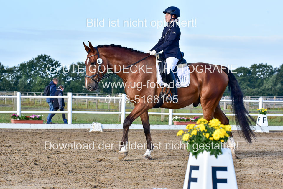 060920-Dressur-WB-KL-E_200.jpg
