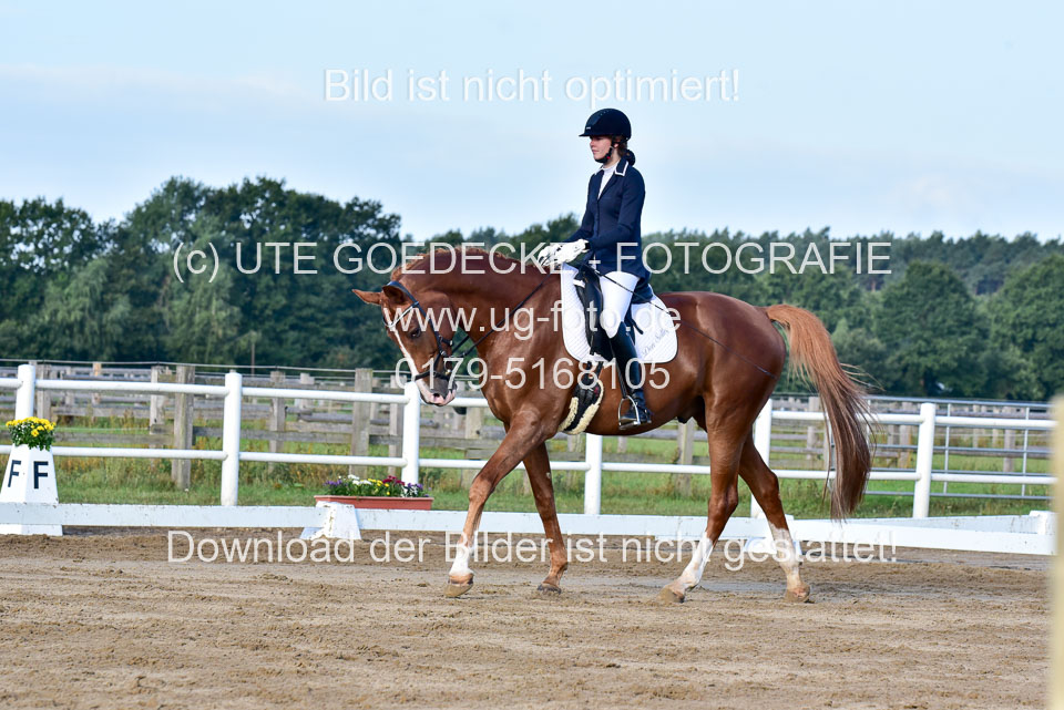 060920-Dressur-WB-KL-E_201.jpg